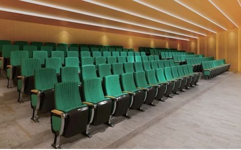 Multiplex Cinema Chair by Brandwave Furniture